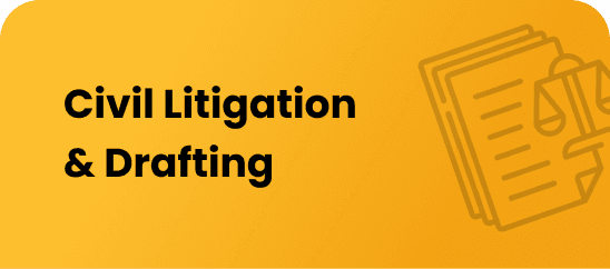 Civil Litigation & Drafting