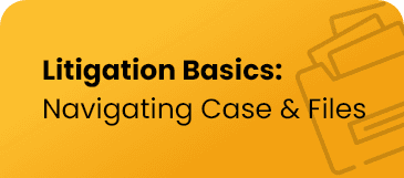 Litigation Basics: Navigating Cases and Files