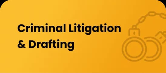 Criminal Litigation & Drafting